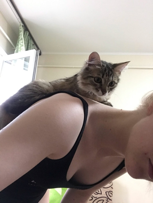 [Image: pic092.md.jpg]