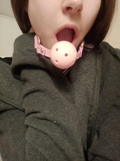 [Image: Y-36.md.jpg]